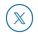 social-x-twitter-icon